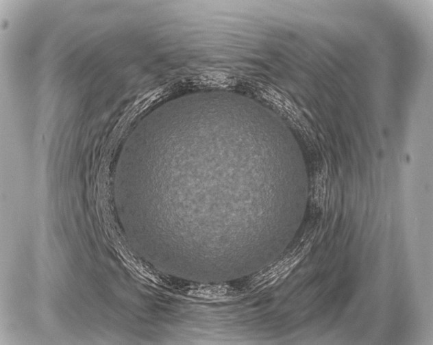 X0000087531201200705041229