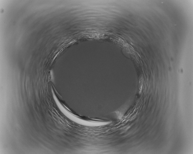 X0000087531202200705041229
