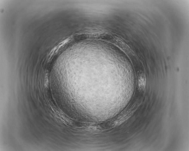 X0000087531204200705041229