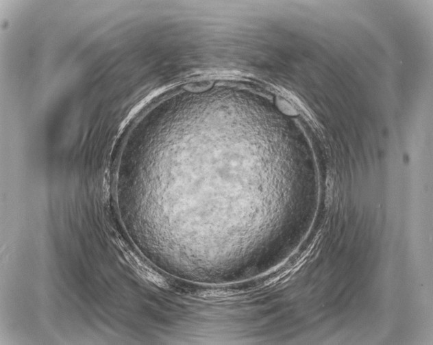X0000087531212200705041229