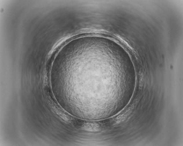 X0000087531215200705041229