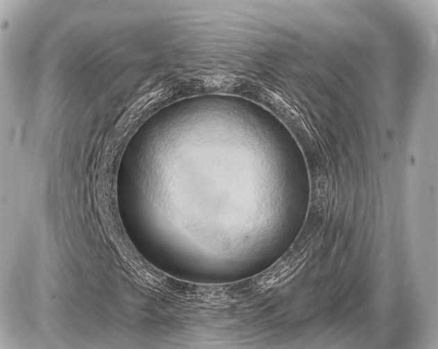 X0000087531249200705041229