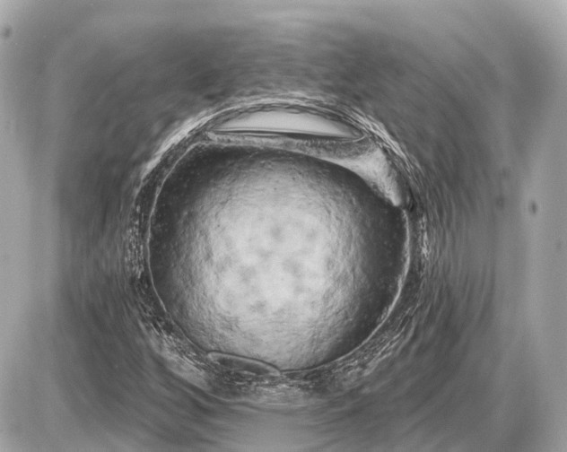 X0000087531256200705041229