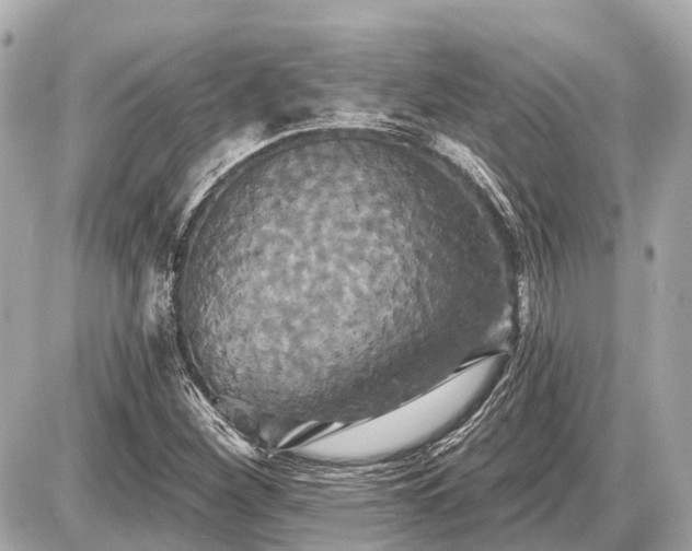 X0000087531260200705041229