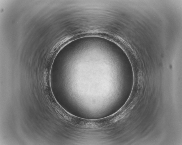X0000087531265200705041229