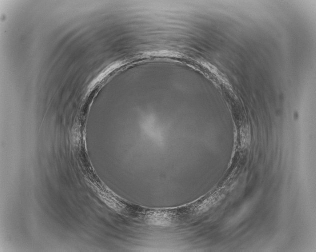 X0000087531266200705041229