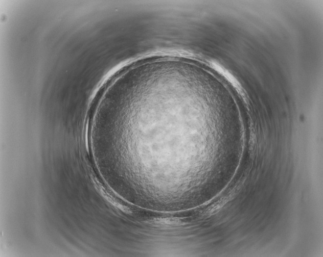 X0000087531272200705041228