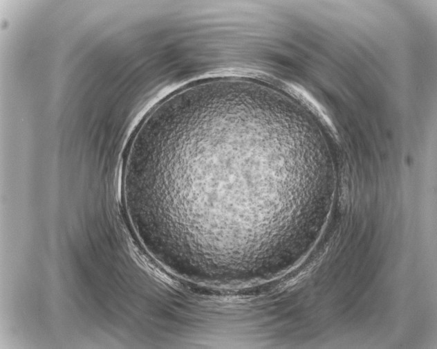 X0000087531276200705041228