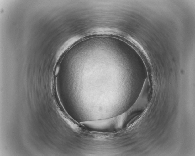 X0000087531277200705041228