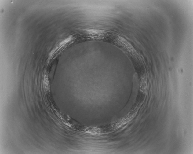 X0000087531298200705041227