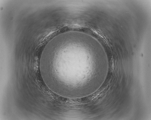 X0000087531301200705041227
