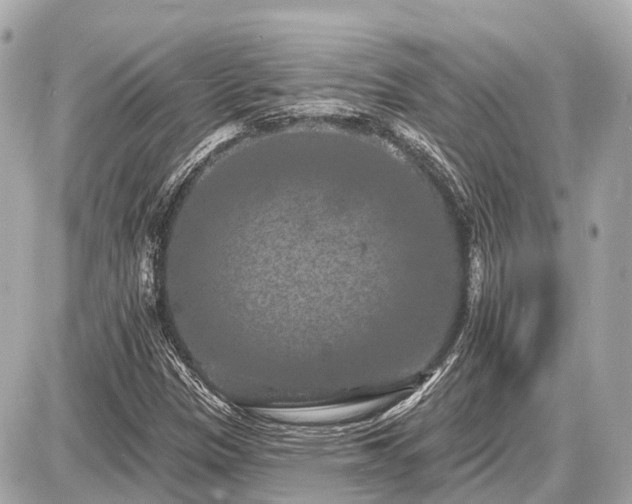 X0000087531305200705041227