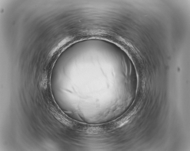 X0000087531306200705041227