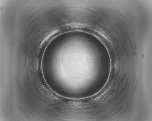 X0000087531309200705041227
