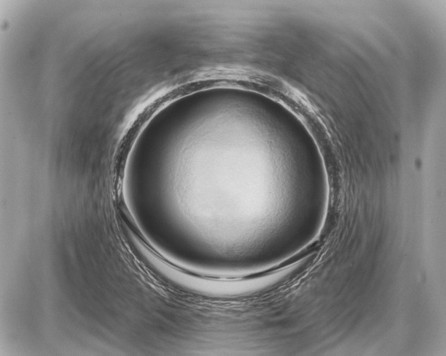 X0000087531312200705041227