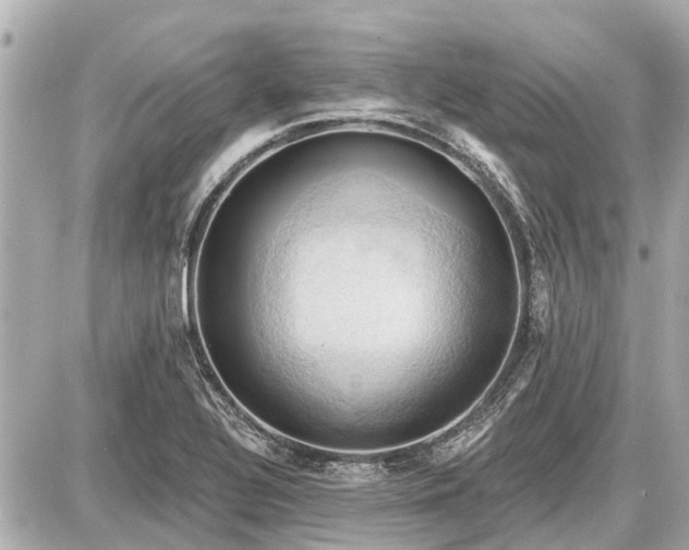 X0000087531320200705041228