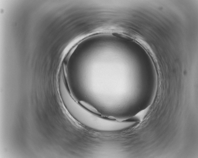 X0000087531344200705041228