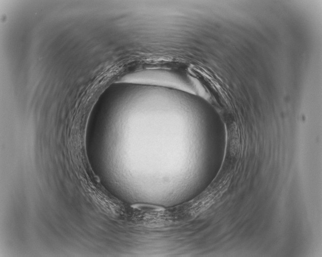 X0000087531345200705041227