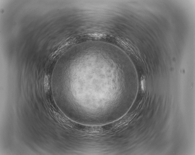 X0000087531347200705041227