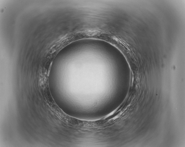 X0000087531349200705041227