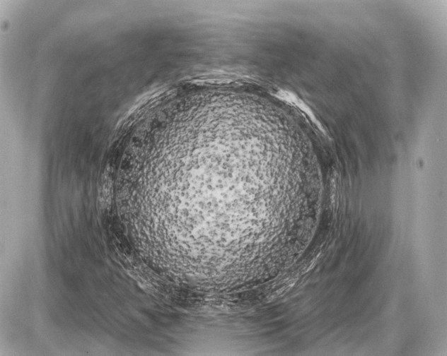 X0000087531350200705041227