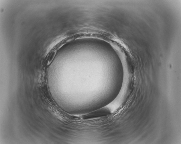 X0000087531352200705041227