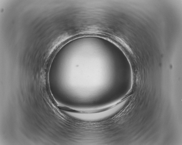 X0000087531356200705041227