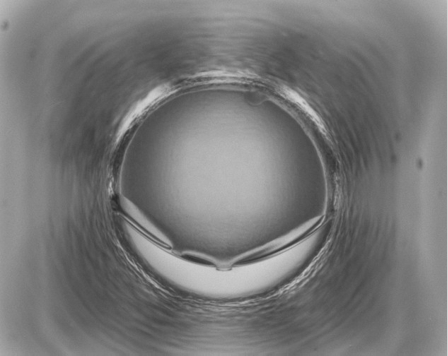 X0000087531357200705041227