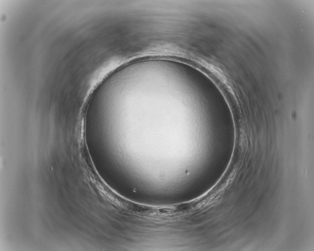 X0000087531366200705041227
