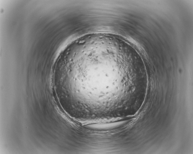 X0000087531374200705041227