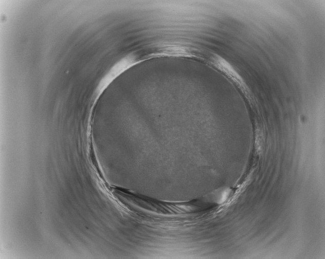 X0000087531378200705041227