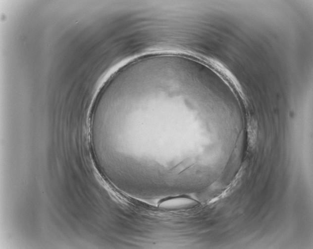 X0000087531380200705041227