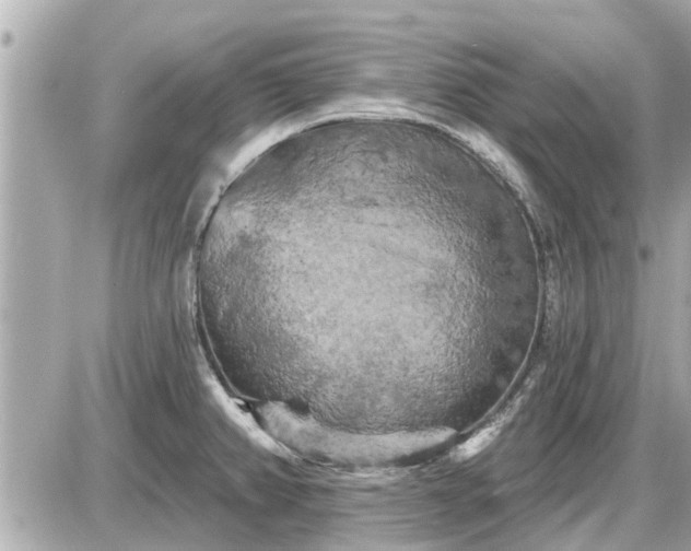 X0000087531382200705041227