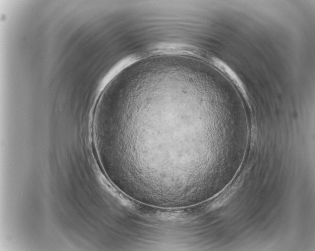 X0000087531386200705041227
