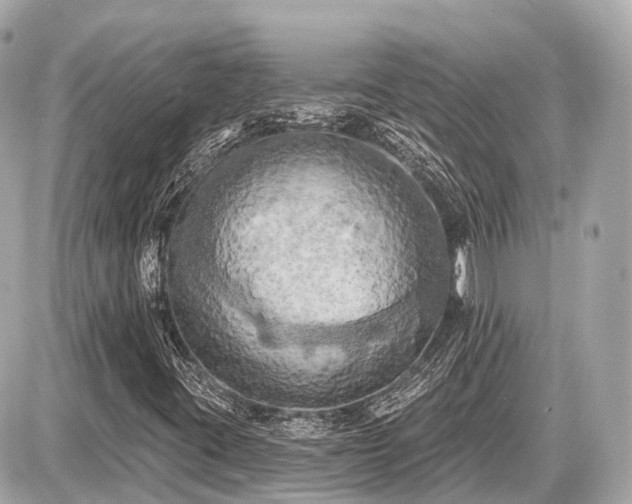 X0000087531395200705041226