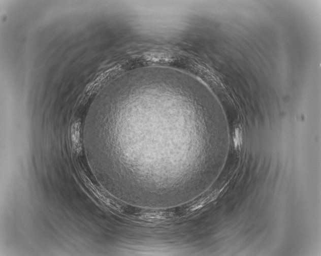X0000087531396200705041226