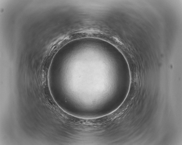 X0000087531398200705041226