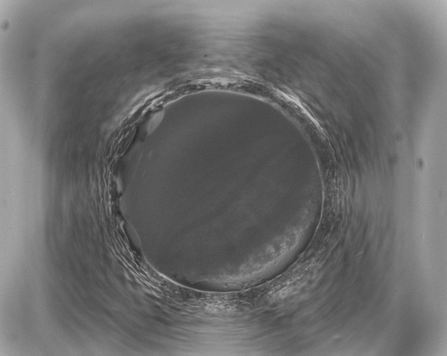 X0000087531399200705041226