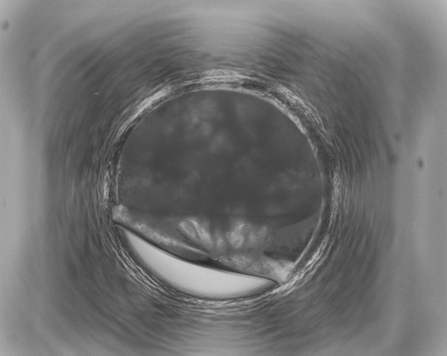 X0000087531401200705041226