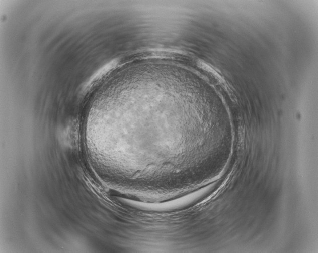 X0000087531403200705041226
