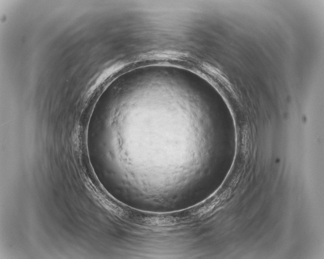 X0000087531404200705041226