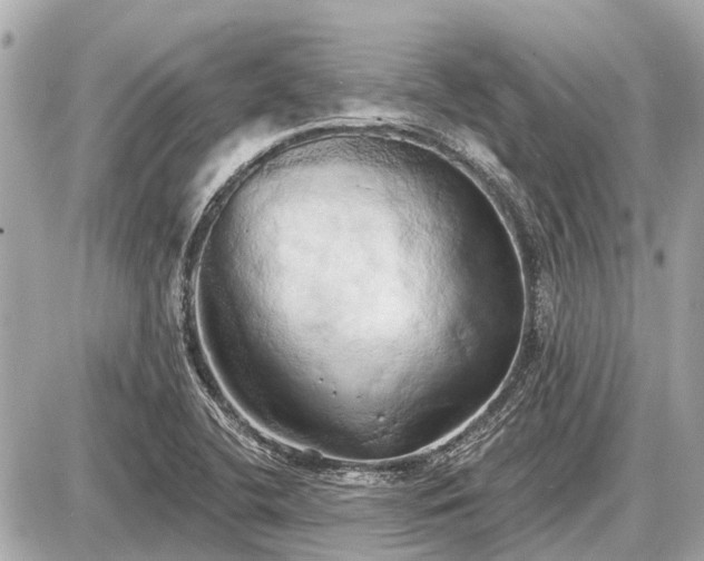 X0000087531412200705041226