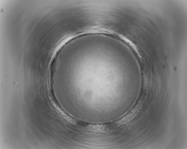 X0000087531415200705041226