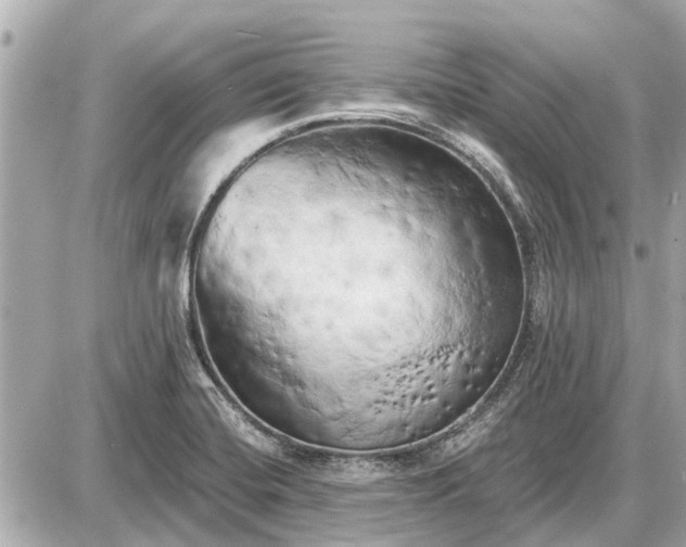 X0000087531420200705041226