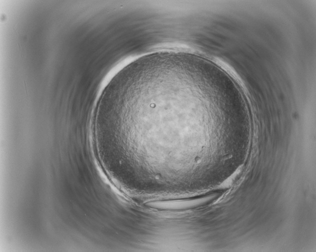 X0000087531440200705041226