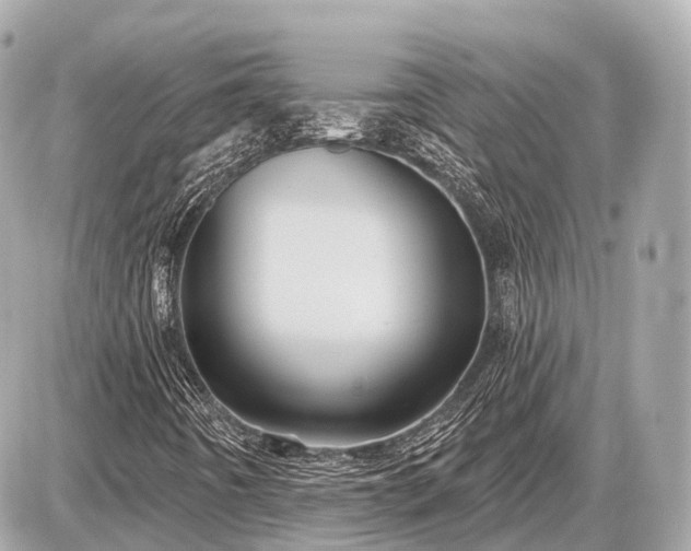 X0000087531442200705041226