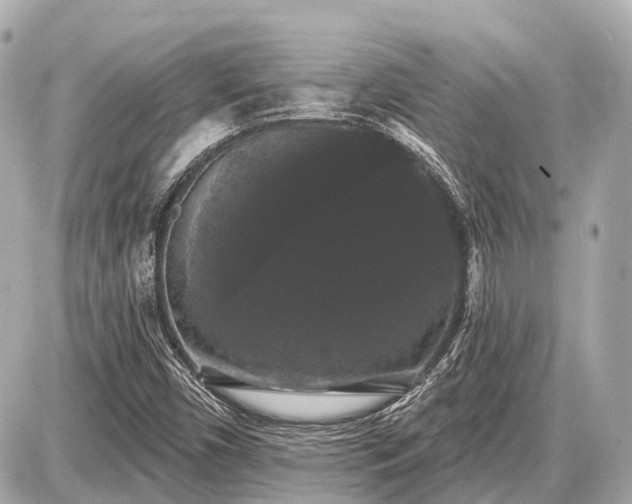 X0000087531450200705041226