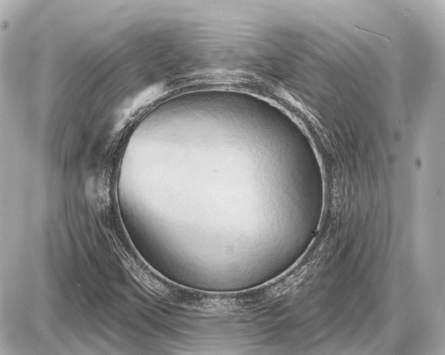 X0000087531451200705041226