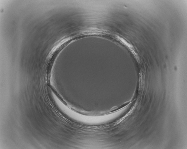 X0000087531453200705041225
