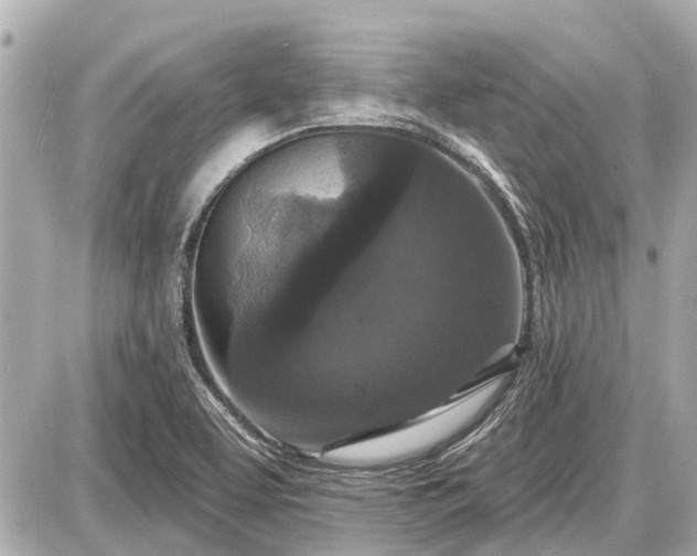 X0000087531463200705041225